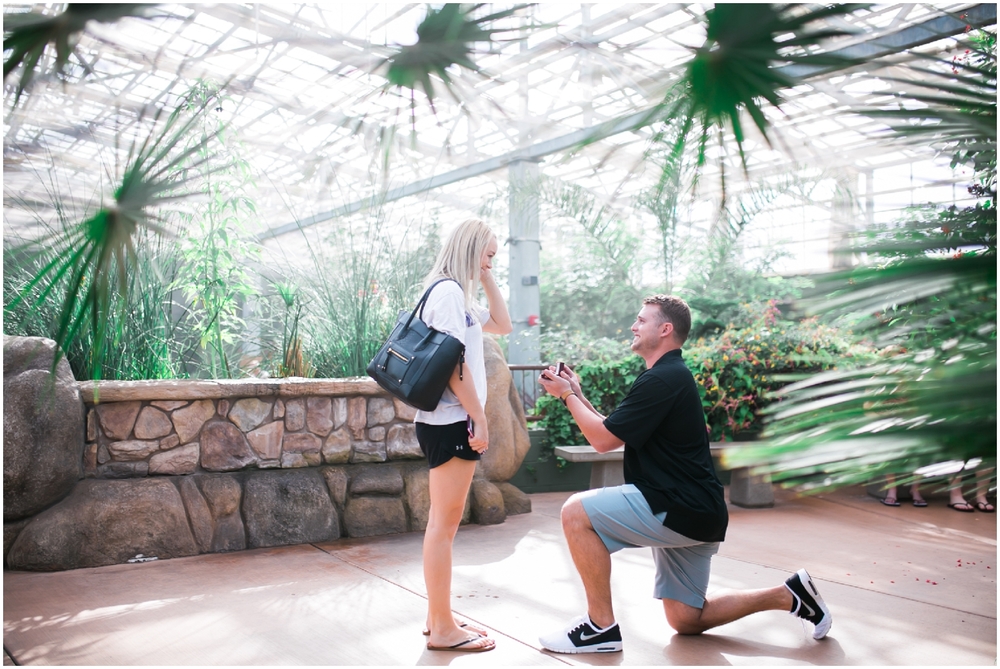 A Arizona Wedding Proposal at Butterfly Wonderland