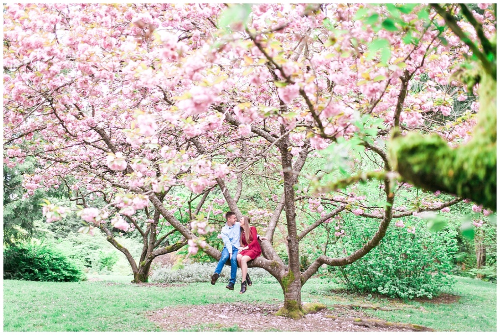 A Cloudy Spring Engagement at the Washington Park Arboretum