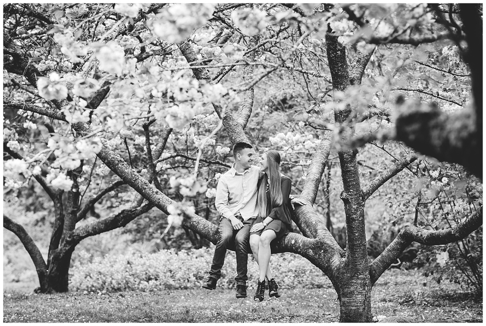 A Cloudy Spring Engagement at the Washington Park Arboretum