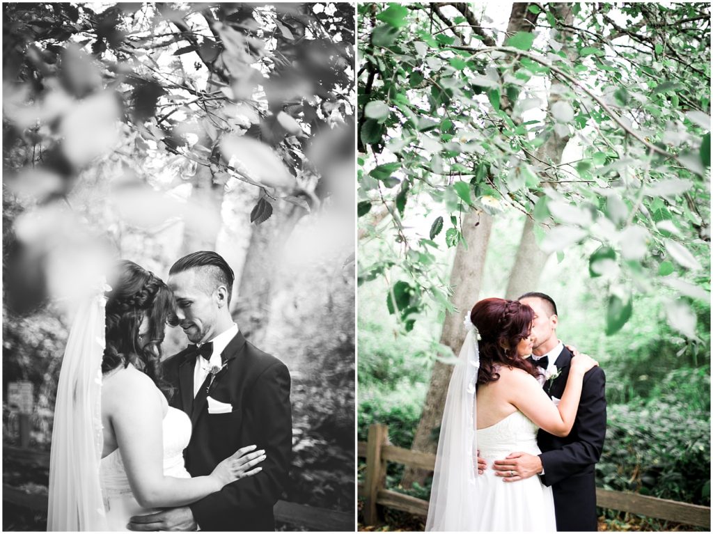 A Blush Pink Backyard Wedding at Casa Dore
