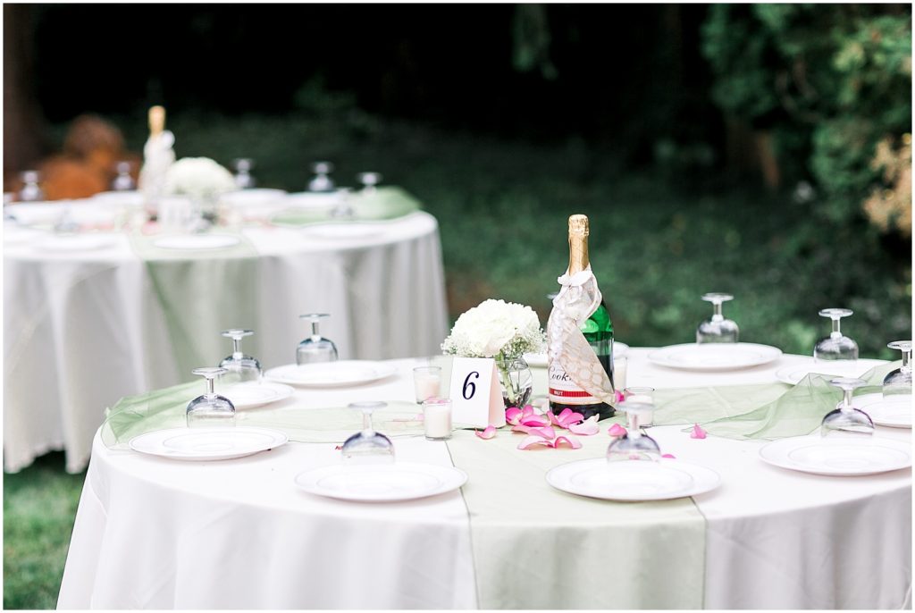 A Blush Pink Backyard Wedding at Casa Dore
