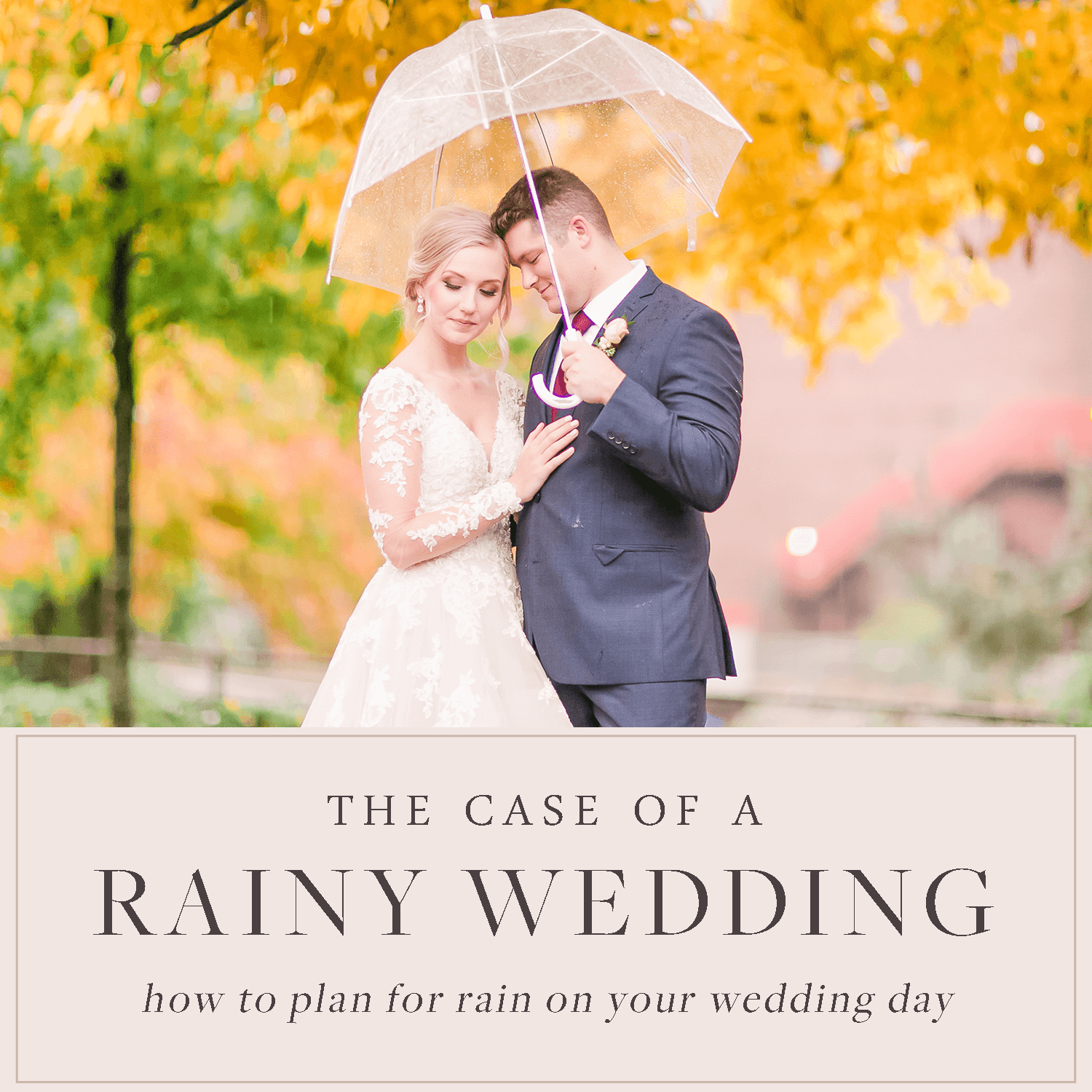 Rainy Wedding Day, What to do if it rains on your wedding, wedding tips, tips for brides, seattle wedding photographer